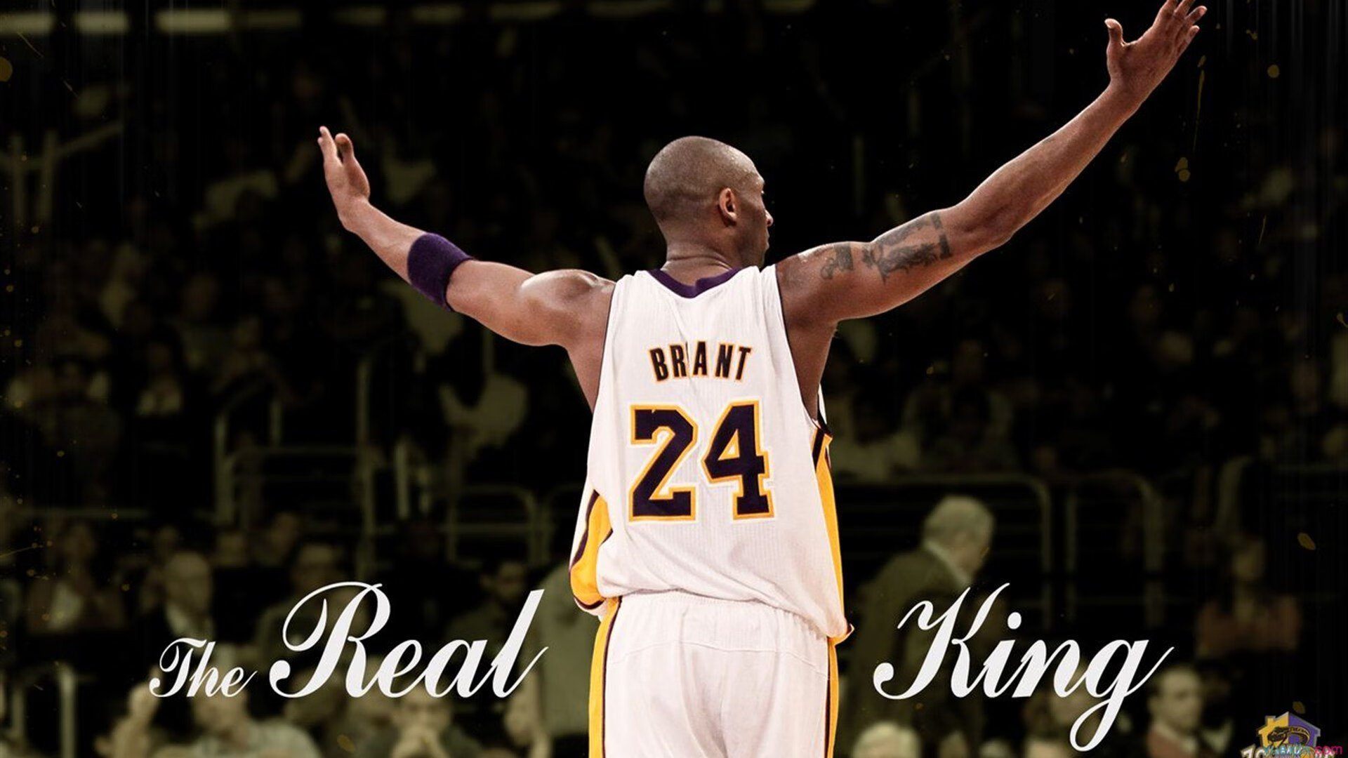 国家队长期缺乏技术分析团队支持，国家队队长有什么用